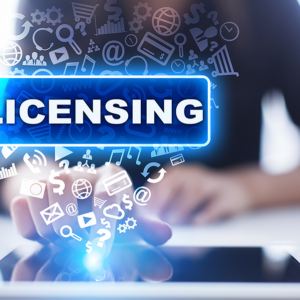 Can you make your own Software License? (How to Create Your Own Software License)