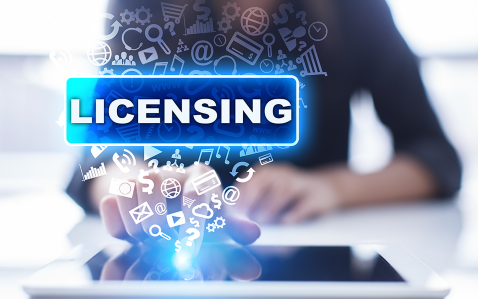 Can you make your own Software License