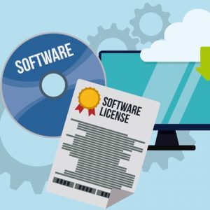 What is a perpetual software license? (How does it work, when is it needed + more)